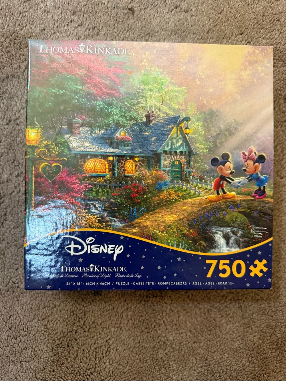 Thomas Kinkade Disney Cottage Scene in Blue, Green, Yellow, Pink